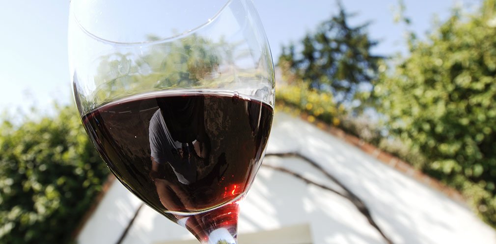 0024_Wine_Wachau